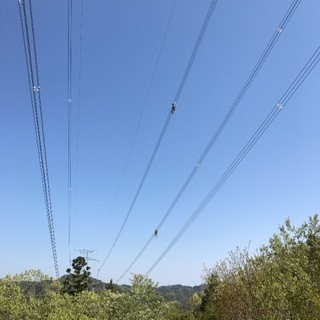 LINEMAN 男なら一度は経験すべき仕事　連絡お待ちしてますの画像