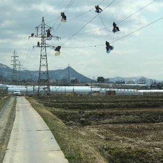 LINEMAN 男なら一度は経験すべき仕事　連絡お待ちしてますの画像