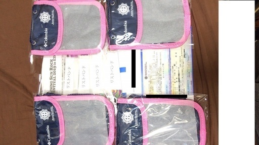 【定価】2019ライジングサンロックフェスティバル　　オートキャンプ券付通し券4枚　ポーチ4個