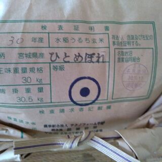 玄米１袋（30kg）