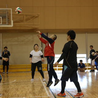 明日21日の夜バレーボールしませんか？初心者OK - スポーツ