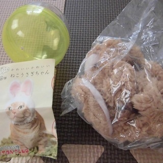 未使用！ねこうさぎちゃん（猫用の被り物）（投稿管理番号：14） の画像