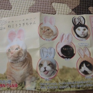 未使用！ねこうさぎちゃん（猫用の被り物）（投稿管理番号：14） の画像
