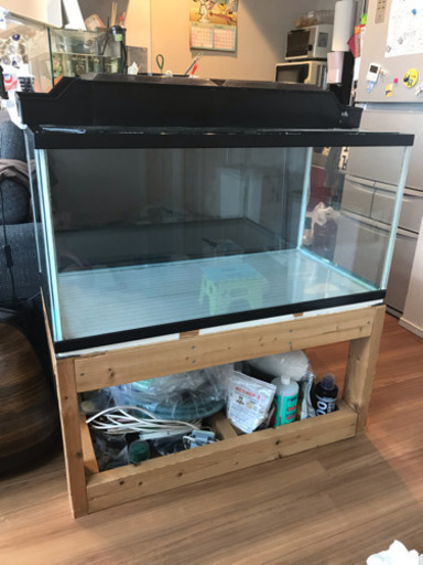 値下げ❗️90㎝水槽セット