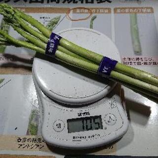 【格安】【訳あり】1束100g以上【アスパラガス】の画像