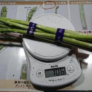 【格安】【訳あり】1束100g以上【アスパラガス】