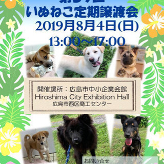 ピースワンコ・ジャパン いぬねこ定期譲渡会