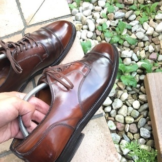 オールデン Alden ラベロコードバン