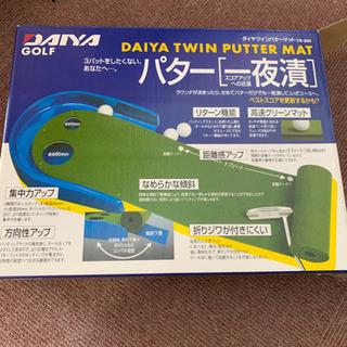 パター 一夜漬
