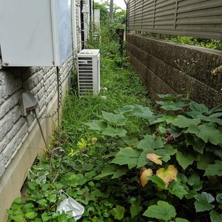 相模原市内の【草むしり・除草剤・防草シート】ならお任せください！ - 相模原市