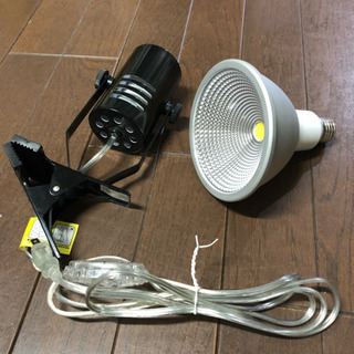 曲面ガラス60cm水槽セットの画像