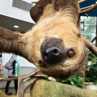 動物園 水族館 博物館 美術館 遊園地 グループ - 福井市