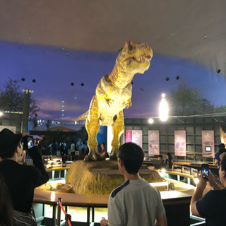 動物園 水族館 博物館 美術館 遊園地 グループ