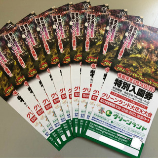 三井グリーンランド 入園券　本日(7/31)まで