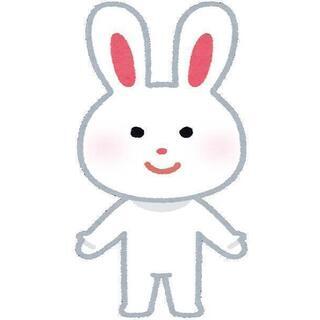 女性楽しく学べる韓国語レッスンの画像