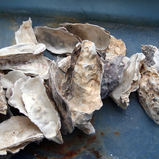 クリーン牡蠣殻(かきがら) 500g