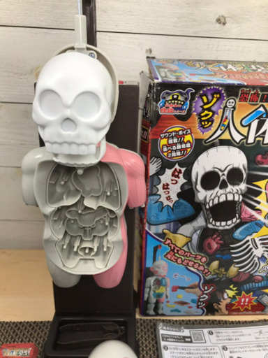 人体模型ゲーム