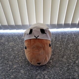 かピパラぬいぐるみの画像
