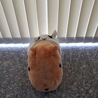 かピパラぬいぐるみの画像