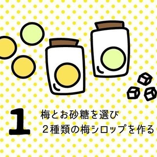 【8月19日（月）、8月22日（木）開催】夏休みこども梅体験　＠梅体験専門店「蝶矢」 - 京都市