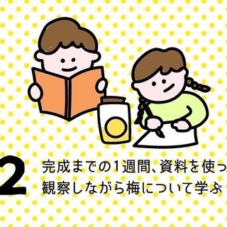 【8月19日（月）、8月22日（木）開催】夏休みこども梅体験　＠梅体験専門店「蝶矢」 - ワークショップ