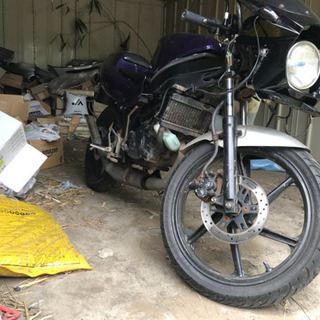 ホンダns1   通勤用実働の画像