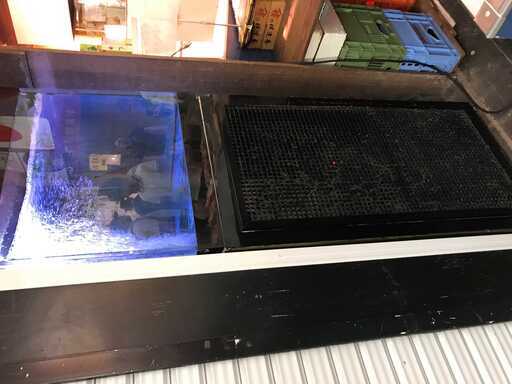 飲食店用水槽・生簀