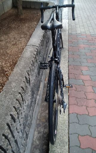 ?marin venezia