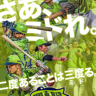 2019/08/03 ( 土 )中日戦 一緒に行ってくれる方！