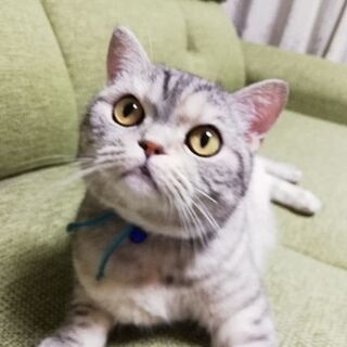 お話中の為、停止中です。