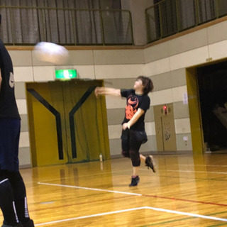 水曜、金曜の夜どうでしょう？？ちょっとミニバレーしてみない？？ - スポーツ