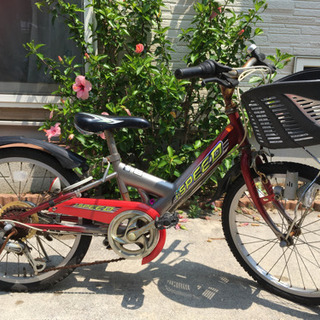 小学校低学年 自転車の画像