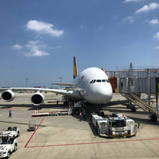 一緒にご飯カフェ行く人募集〜 − 東京都