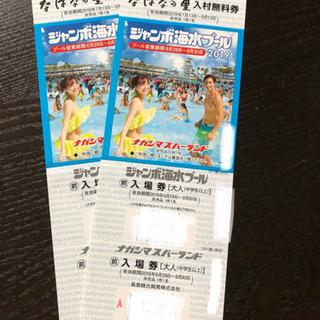 ナガシマジャンボ海水プール入場券 2枚