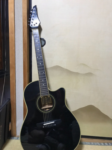 アコースティックシングルヘッド