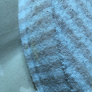 円座クッションの画像