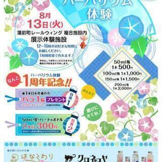 ハーバリウム体験1周年記念