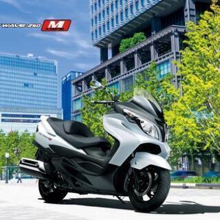 スカイウェイブ250タイプM