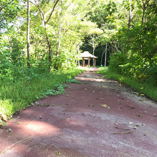 マラソン（代々木公園 毎週日曜17時より）