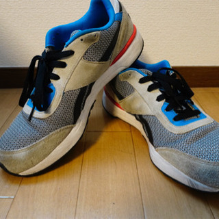 Reebok リーボック スニーカー 28cm 譲ります！取りに来て頂けると嬉しいです。値下げしました！の画像