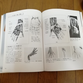 NO5, 美術デッサンの本、無料であげます。の画像