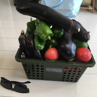 カゴ乗っけ放題！タイミングによって野菜の種類が変わります。