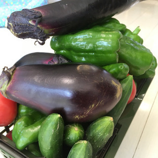 カゴ乗っけ放題！タイミングによって野菜の種類が変わります。の画像