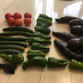 カゴ乗っけ放題！タイミングによって野菜の種類が変わります。の画像
