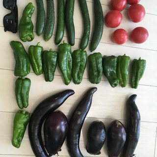 カゴ乗っけ放題！タイミングによって野菜の種類が変わります。の画像