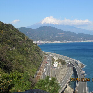 一緒に楽しみませんか