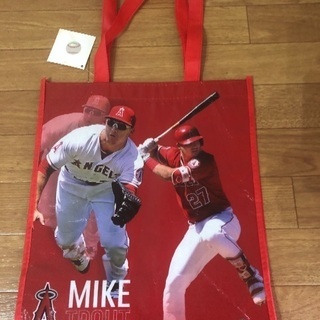 大谷翔平&トラウト バック