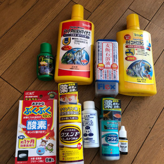 熱帯魚