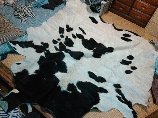 ブラジル製の天然の牛革のラグあります！