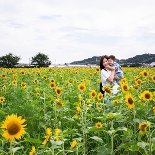 🌻特 別 企 画🌻《ひまわり撮影会》開催します♫ - 浜松市